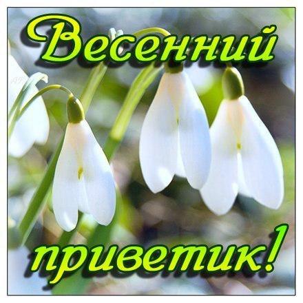 Картинки по запросу привет подснежники